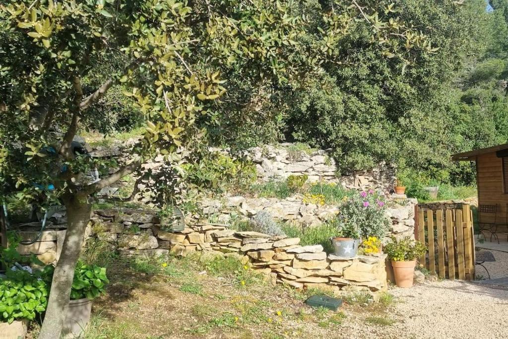 Maisonnette Chez L'Habitant La Ciotat Extérieur photo